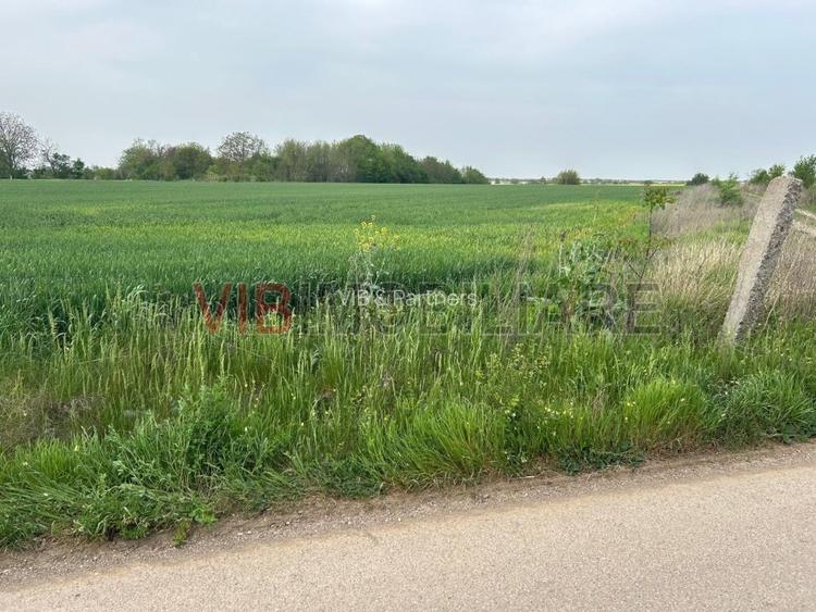 Comuna Dascalu - A0 - teren intravilan 4500 mp - 4