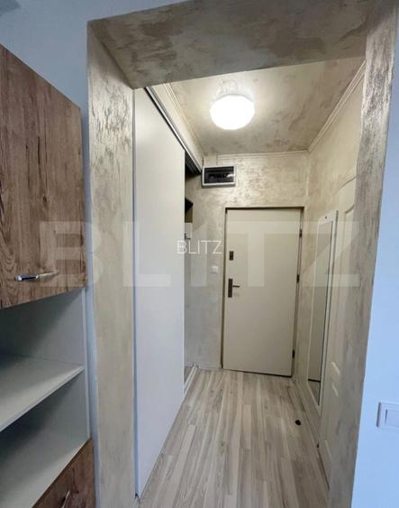 APARTAMENT O CAMERA CIUREA  - 4