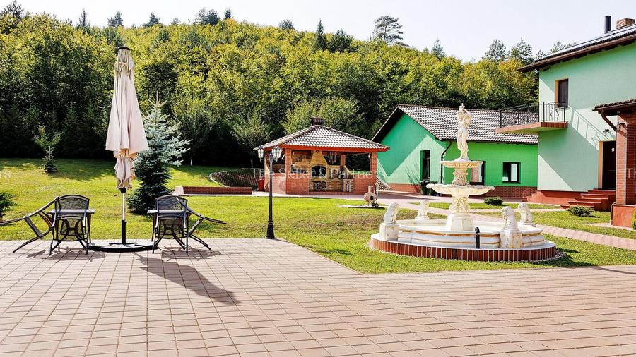 PROPRIETATE DEOSEBITA - LIZIERA PADURII - 14