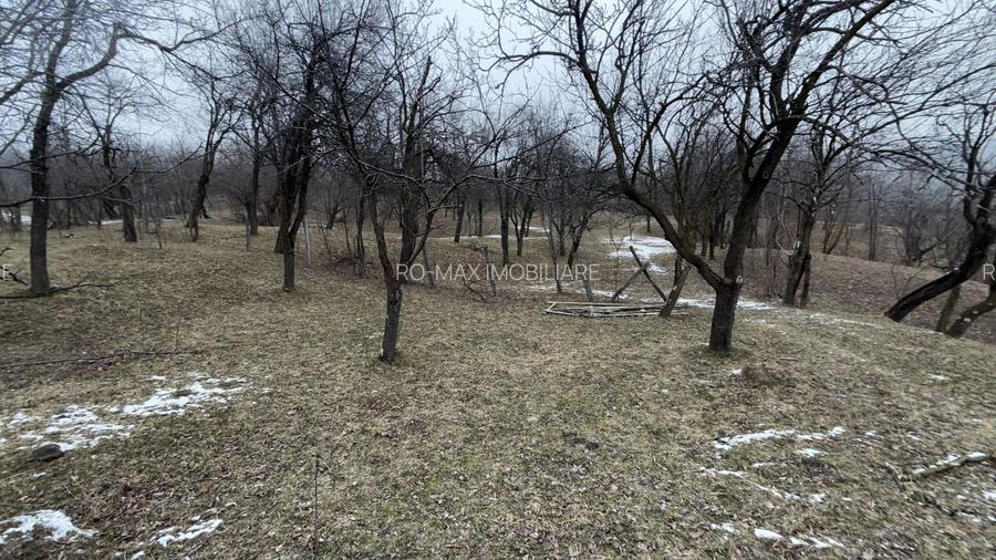 Teren 4652 mp cu izvor pe el, Lunca Mare, lângă păstrăvăria Doftana - 10