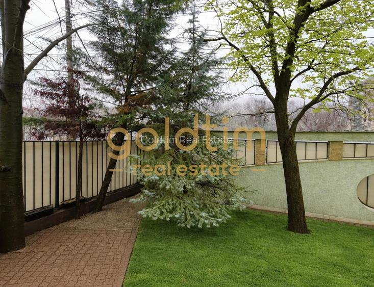 VILA DE COLT/IANCU NICOLAE/SUPERBA/CURTE GENEROASA/ZONA LINISTITA - 35