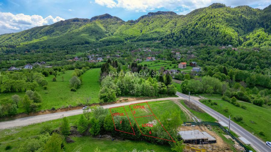 Teren intravilan 500 sau 1200 mp Bran-Tohanita langa dum asfaltat - 7