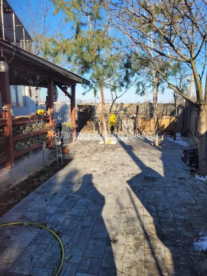 Vanzare proprietate cu 2 case Zurbaua- Dragomiresti Vale - 23