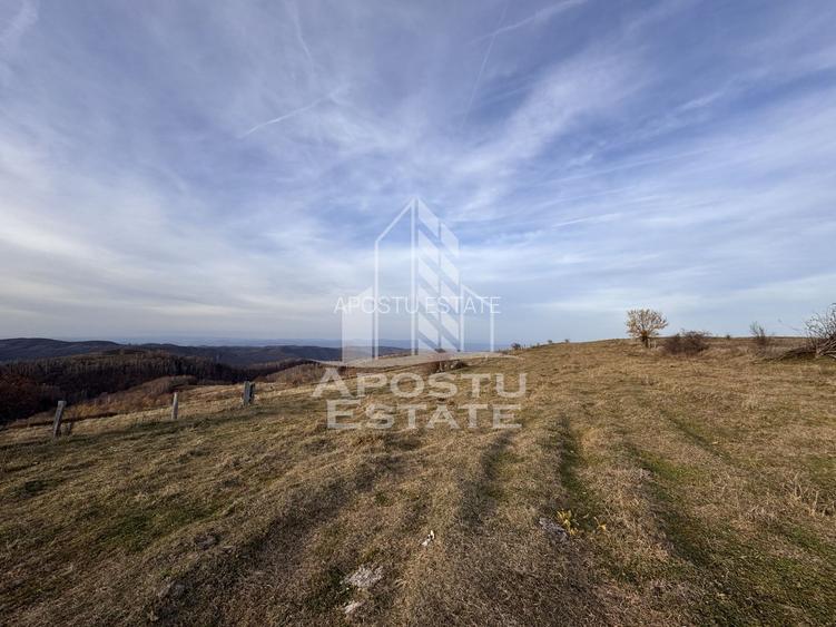 Casa batraneasca la munte, in Hunedoara, Tinutul Padurenilor, Cerbal - 11