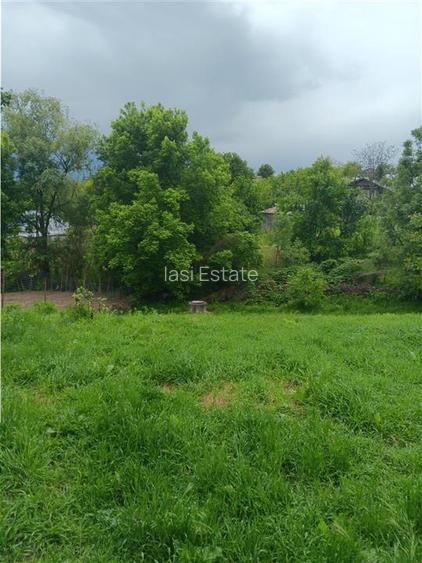 Ciurbesti Casa batraneasca cu TEREN 1347mp - 6