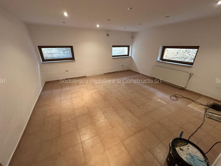 Proprietate cu piscina Dumbravita - 34