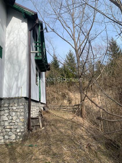  Casa de vacanta Dambovicioara, Arges  - 3