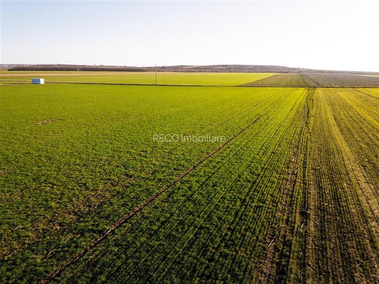 RECO Teren extravilan in Biharia 5500 mp zona intravilana - 4