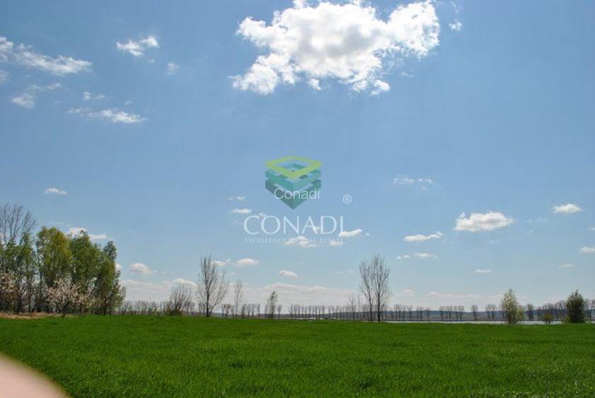 Oportunitate investitionala | Ferma piscicola 233 ha | Calarasi - 3