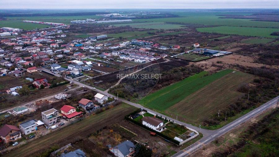Vanzare teren intravilan 10.000mp Afumati - Strada Teiului - 9