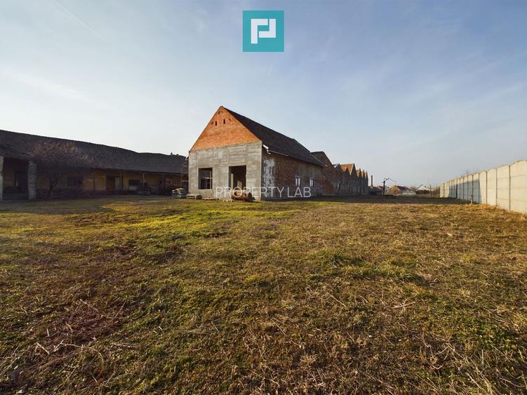 Teren și hale pe calea Aradului în Periam - 2