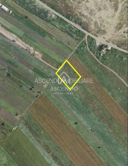 Teren Intravilan 3.000 mp Jilava  Investiție sau Rezidențial - 2