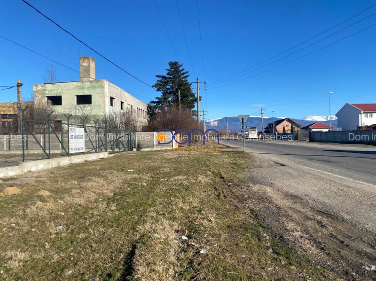 Teren investitie 34.000 mp Centura Caransebes - 7