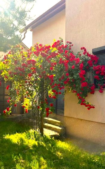 LAZU vila P+M, deosebita, ideala familie, 4 camere, facilitati multiple