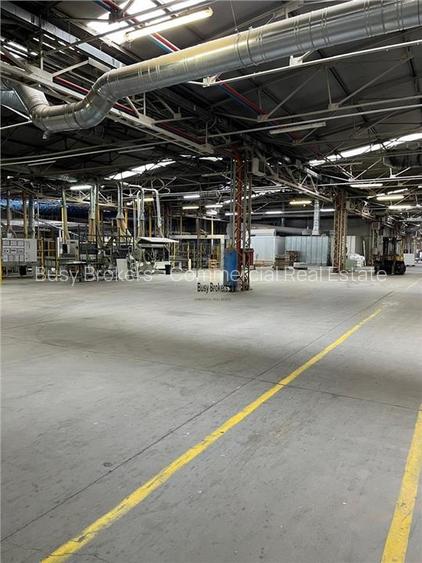 Spatiu Industrial - 5000 mp - Productie - Depozitare - 14