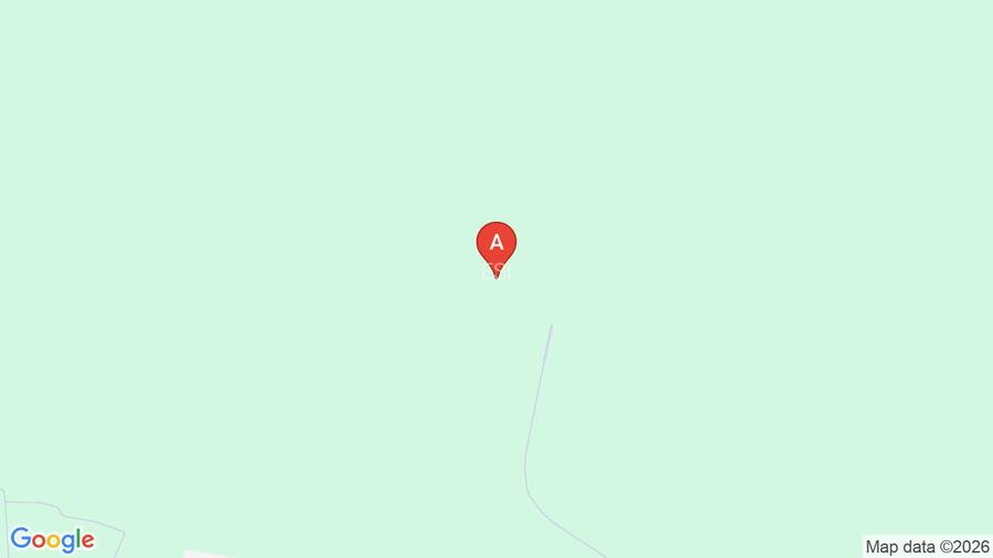 Casa de vanzare | 7 camere si dependinte | Curte amenajata, garaj | Snagov - 14