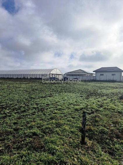 Buftea- Cartier Tineretului-  Magnoliei - 4