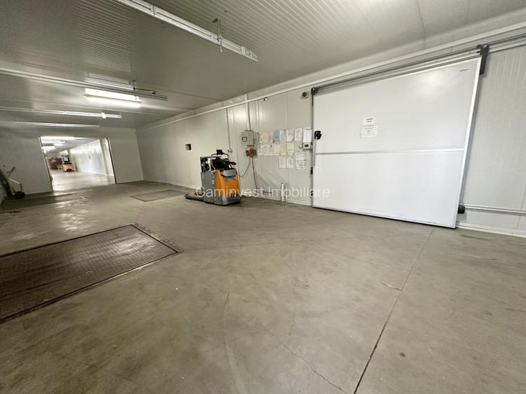 Hale frigorifice de închiriat în zona Est, Centura Oradea, Bihor - 4