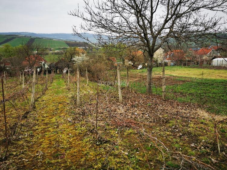 Casa de vanzare cu teren  - 7