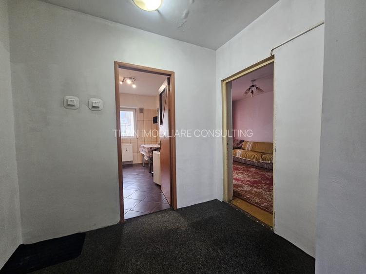 Titan Costin Georgian langa metrou 8/10 decomandat 90 mp doua bai doua balcoane - 9