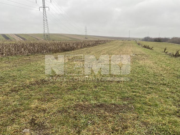 Teren Burdujeni | Zona Tarinca | 41 Ari - 3