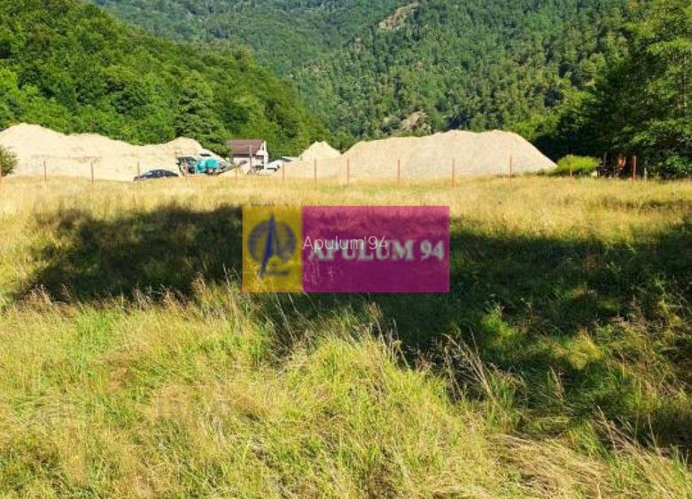 Teren Județul Vâlcea - Brezoi, Valea lui Stan - 25