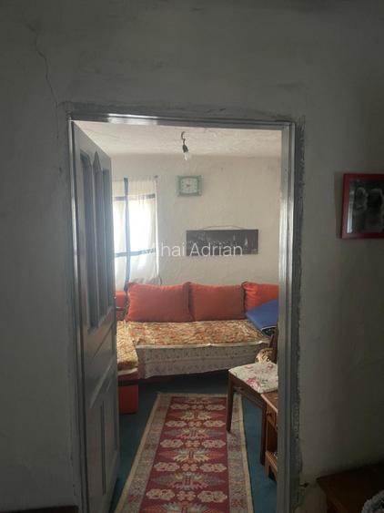 Teren cu casa in comuna Iepuresti, 33km de centrul Bucuresti - 7