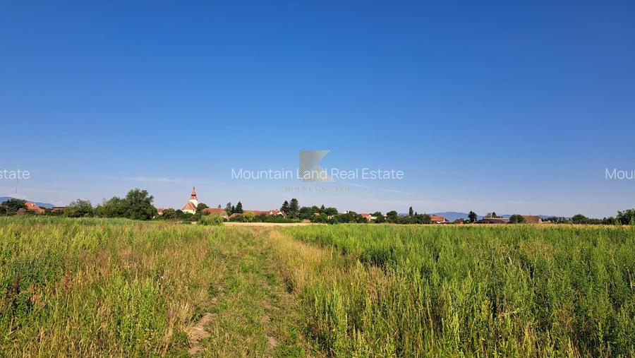 Posibilitate RATE | Teren Bod | curti constructii | utilitati | PUZ, - 14