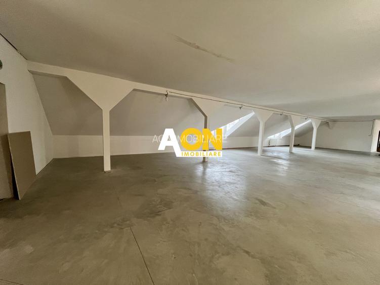 Spațiu Comercial, 400mp Nivel, Cetate - 5