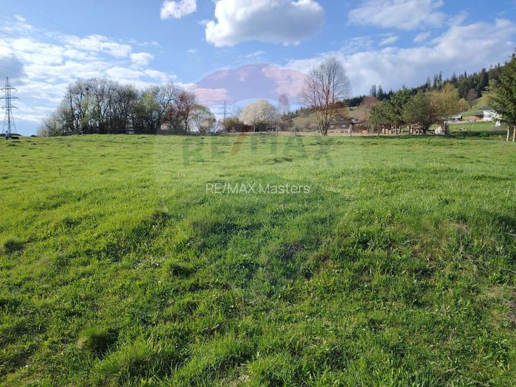 Teren 2,421mp Vatra Dornei / Strada Chilia - 4