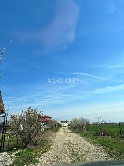 De vanzare lot teren intravilan Dumitrana Magurele - 4