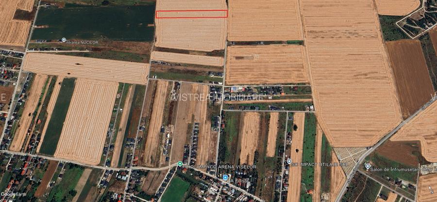 Teren intravilan 12.500 mp – Dragomirești Vale, Str. Lalelelor - 3