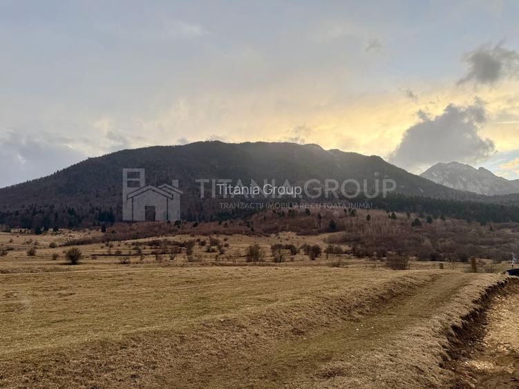 Teren intravilan, 2548 mp, cu priveliște superbă - Zărnești - 7