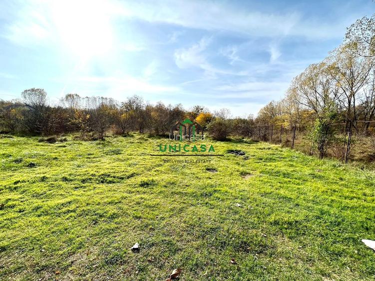 Teren Dem Radulescu 1092mp - 3