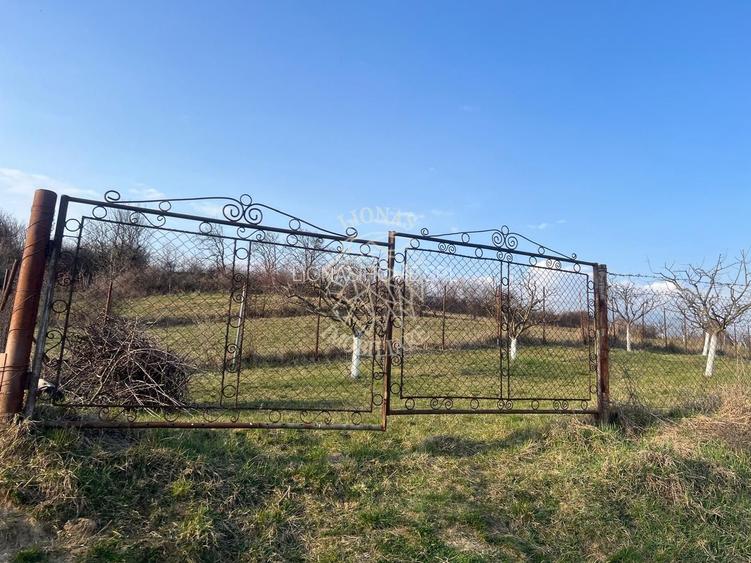 Teren 3100 mp-livada-ideal casa-Mititei - 4