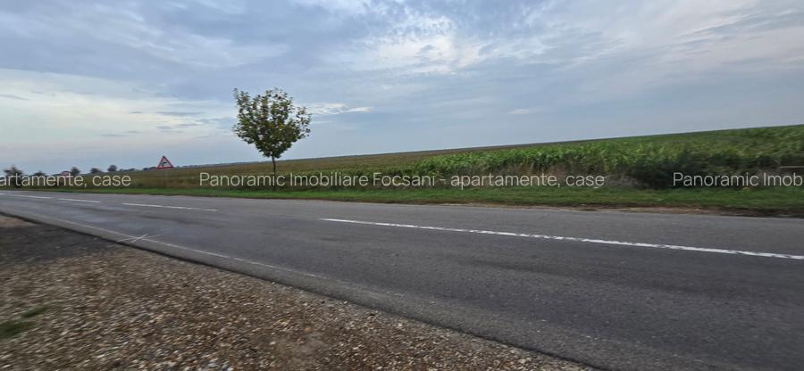 LIVADA  DE VANZARE FOCSANI-DUMBRAVITA  1,8  HA - 17