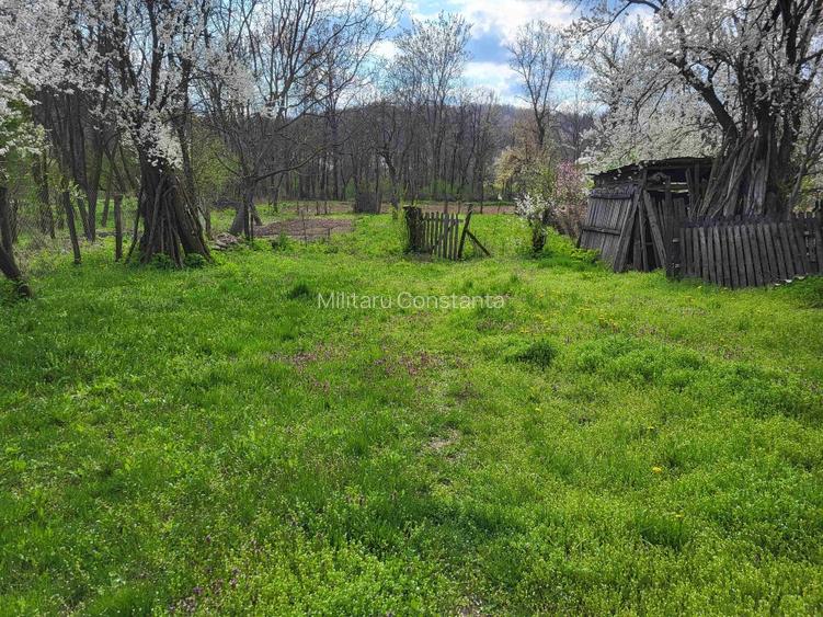 Casa batraneasca, sat Magura, comuna Hulubesti - 7