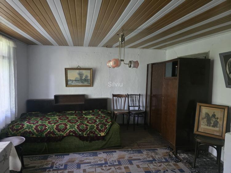 Casa batraneasca ,gradina cu vie si livada, fara agentie  - 9