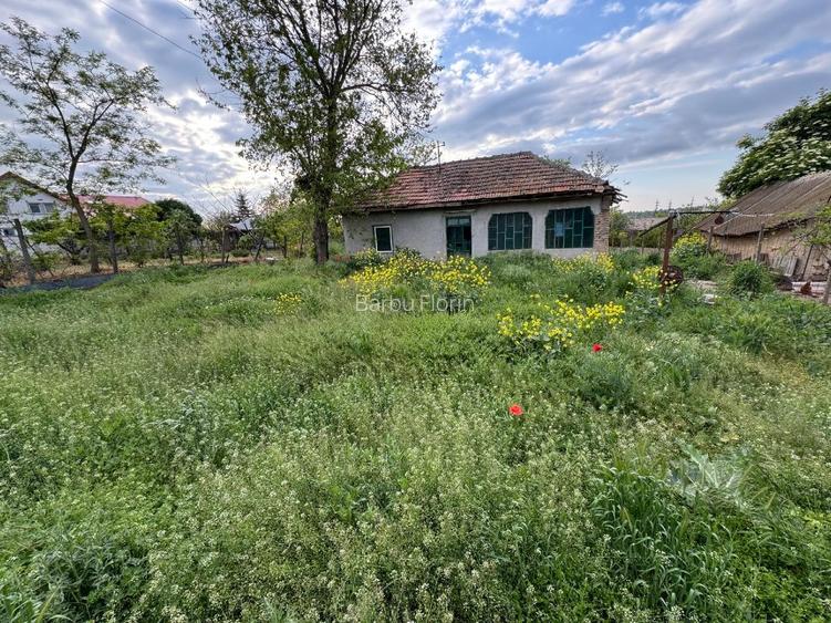 Casa  (30 min de Bucuresti) în Tamadau (lângă lacul Mostistea) cu teren 850 m - 3