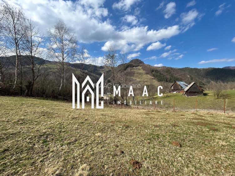 Teren intravilan I 1000 mp I Raul Sadului - 4