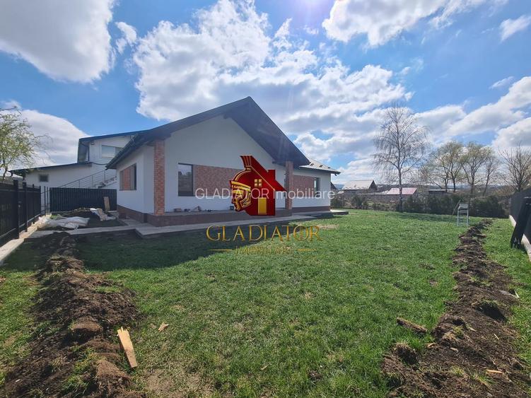 Casa plan parter deosebita, Lunca Cetatuii Ciurea, la asfalt, zona vis - 13