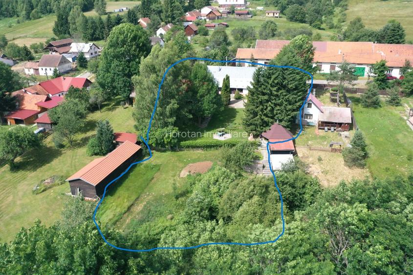 Proprietate de Vânzare în Brebu Nou-Ideală pentru Casă de Vacanță sau Investie - 3