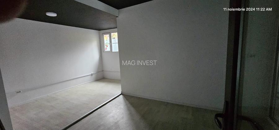 Vanzare/Inchiriere - Hala productie si depozitare,  Bd. George Cosbuc - 6