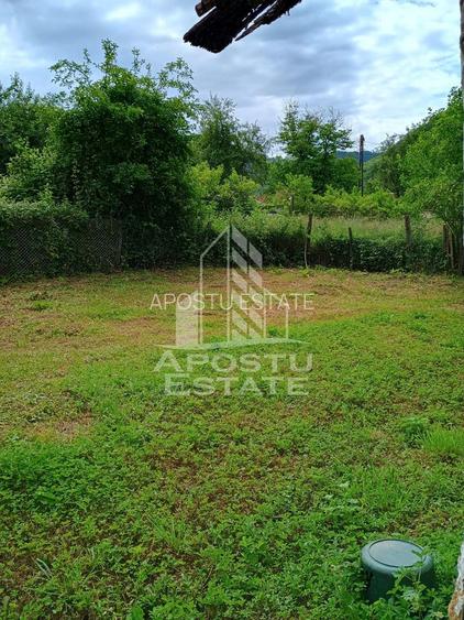 Casa batraneasca de vanzare, 4 camere, in Hunedoara, sat Micanesti - 9