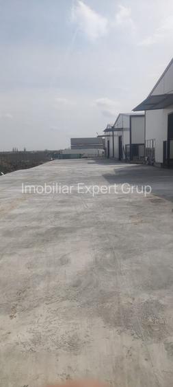 2 hale noi 2025 Afumati- Moara Domneasca - 2