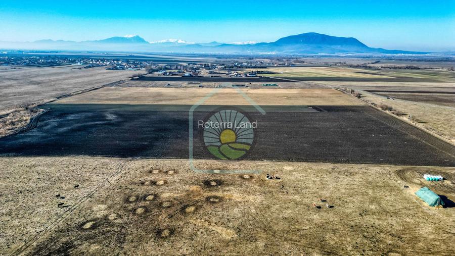 TEREN STUPINI-COMISION 0 - 4