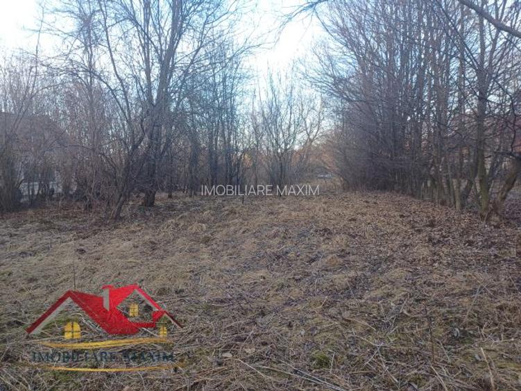 Imobiliare Maxim - teren Valea Avrigului - 5