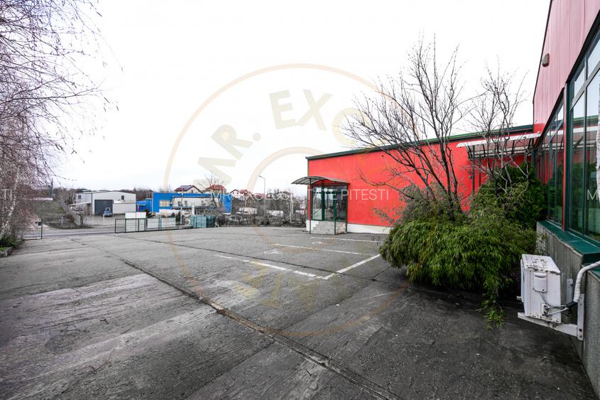 Hala industriala / spatiu comercial – VANZARE – DN 65B – Bradu-Pitesti! - 11