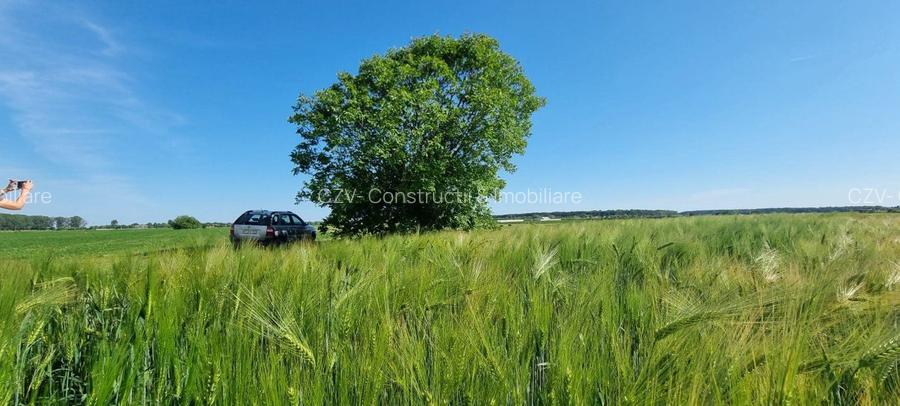 Ferma de Cultura Mare 1100 HA - 9