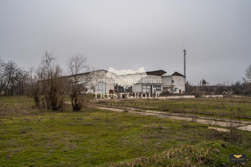 Teren 28.788m + Hale industriale + Sediu Firma  - 39